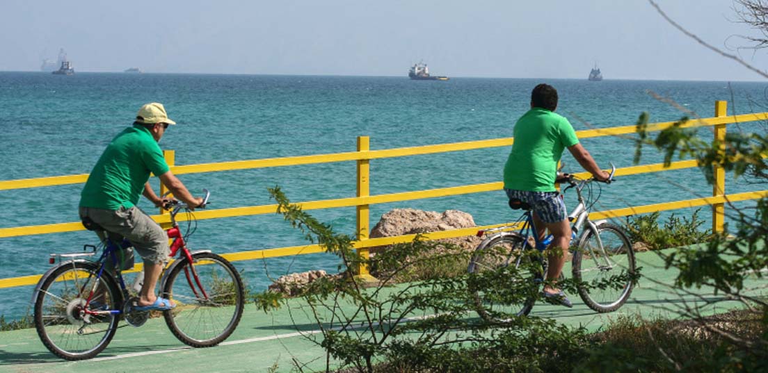 دوچرخه سواری